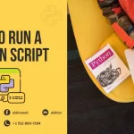 How to Run a Python Script